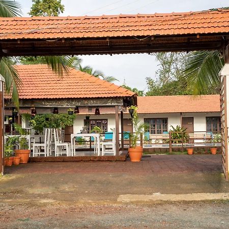 Dhanrains Moonlight Retreat Cottages Palolem Extérieur photo